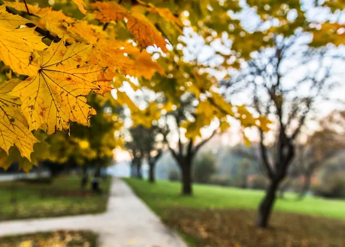 דירה Powstancow 19 *